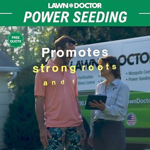 66 reactions · 7 comments | Lawn bald spots, yellow patches, and...