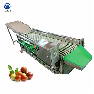[Hot Item] Cashew Nut Grading Machine Peanut Sorting Machine Tunisian Dates Sorting Machine