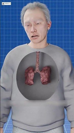 Smoker vs Non-Smoker Body Comparison | #facts #explore