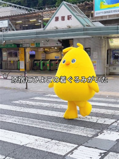 原宿観光：ゲルぴよと東京の街を散策！