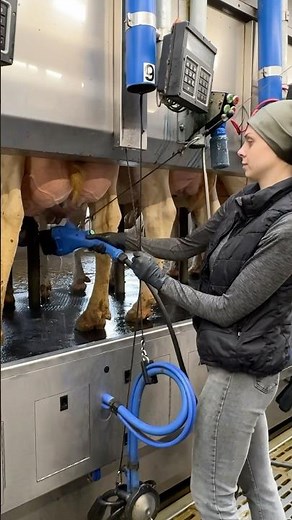 🐄 The REAL Life of Farm Girls 👩‍🌾 Milking Cows, Washing Udders & Running the Farm 24/7