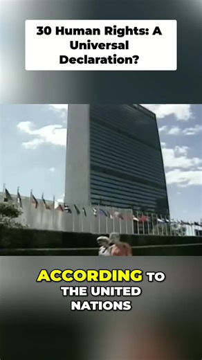The UN says there are 30 human rights. They're in a document accepted worldwide, but it took a while to create. #HumanRights #UnitedNations #DidYouKnow #Important