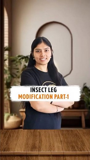 Insect leg modification, part-1