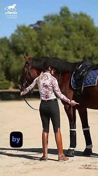One of the MOST important concepts in Dressage