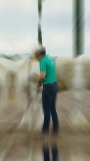 ¡Desde Allende, Nuevo León llega al Bendito Rodeo la elegancia y potencia del Rancho San Marco!🤠🐎 Una exhibición de caballos de raza que te dejará sorprendido🤩 🎫 Compra tus boletos en sistema Ticketmaster | Bendito Rodeo
