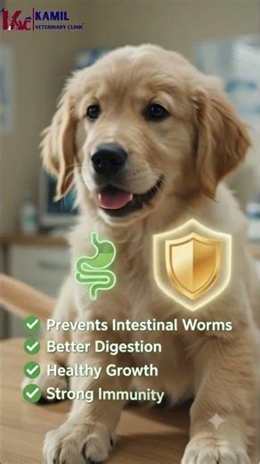 Pet Deworming Schedule Explained | When Puppies, Kittens & Adult Pets Need Deworming #clinic #cat
