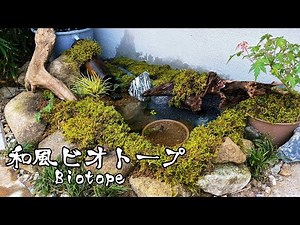 [Nagomi Pond] Even if you don't have a garden, it's okay to create a Japanese-style biotope at home!