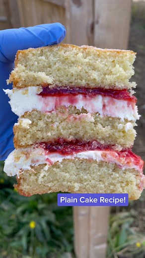 Delicious Big Cake Recipe