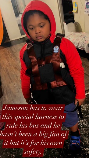 #autismacceptance#schoolbussafety “My son wears a safety harness on the school bus not because he’s being punished or restricted, but because it helps keep him safe during transport. He’s autistic, and like many children with special needs, he may have challenges with staying seated, regulating movement, or understanding danger—especially on a moving vehicle. The harness provides the structure and security he needs to stay seated safely, avoid injury, and feel more grounded in a stimulating envi