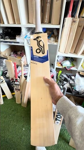 I Almost Bought a $700 kookaburra Cricket Bat… | Canada Cricket Shopping #viralshorts