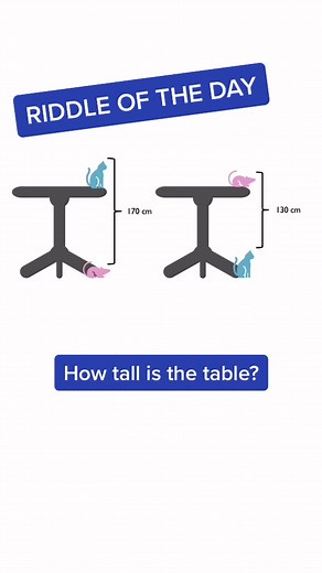 How Tall is the Table - Riddle of the Day ft. Maple Learn