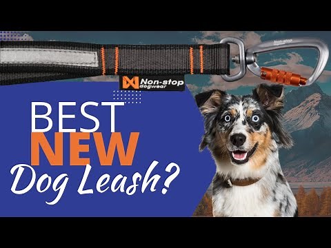 REVIEW: Non-Stop Dogwear Touring Bungee Adjustable
