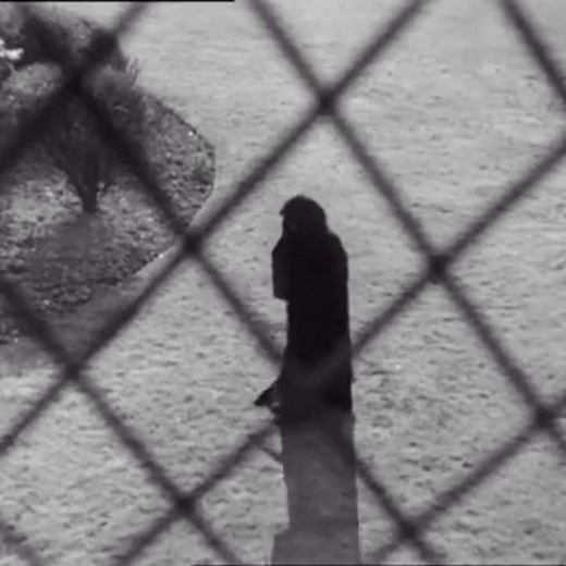 The Terror (1928) directed by Roy Del Ruth. This first fully ‘all-talking horror’ film and was the first Warner Bros. movie to be shown without inter-title cards. This ground breaking film starred May McAvoy, Louise Fazenda and Edward Everett Horton. The plot follows guests at an old English manor house who are stalked by a mysterious killer known only as 'The Terror.' Copyright Warner Bros. @Warner Bros. Movies #film #history #terror #horror #thriller #hollywood #1928 #20s #twenties #warnerbros