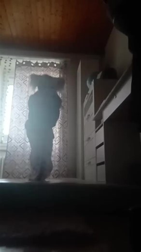 Mastering Small Jumps with Quadrobics