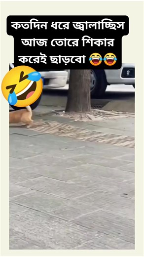 1.6M views · 10K reactions | Funny video #reelsviralシ #reelschallenge #reelsviralシfb #funnyreels #funnyvideos #foryouシpage #StarsEverywhere #funnymoments | MONIR computer | Facebook