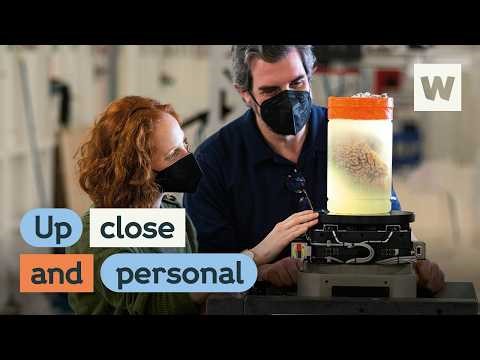 Zooming in: particle physics and the future of medical imaging | Wellcome