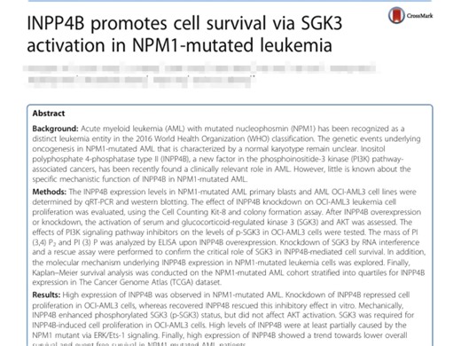 SCI文献分享35-siRNA转染人急性髓细胞性白血病细胞（OCI-AML3）