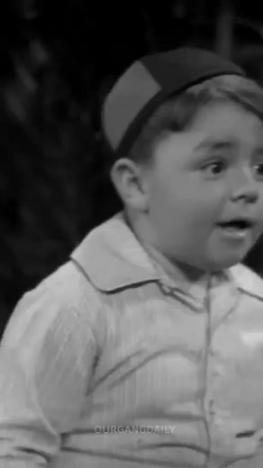 Spanky, Alfalfa and Buckwheat form the He-Man Woman Hater's Club in HEARTS ARE THUMPS (1937) 🎥⭐ #ourgang #thelittlerascals #littlerascals #ourgangdaily #originallittlerascals #goodolddays #comedy #vintage #retro #classic #nostalgia #oldhollywood #childactors #cute #1930s #fyp #fypシ #foryou #georgemcfarland #spankymcfarland #carlswitzer #alfalfaswitzer #billiethomas #buckwheat