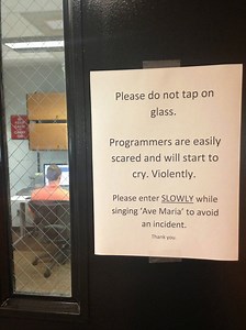 Rescue Pitty Is Diagnosed With Cancer, But When Doctors Meet Her? They Know EXACTLY What To Do