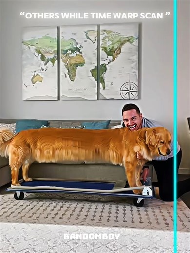 Others While time warp scan Vs Last one 💀#trollface #troll #skulledit #bome