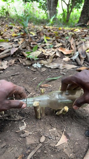 Survival skills: Dirty Water Distillation For Survival-In Extreme Conditions- #lifehacks #outdoors #survival #skills #bushcraft #camping