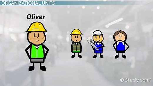 Intermediate Organizational Units: Definition & Structure