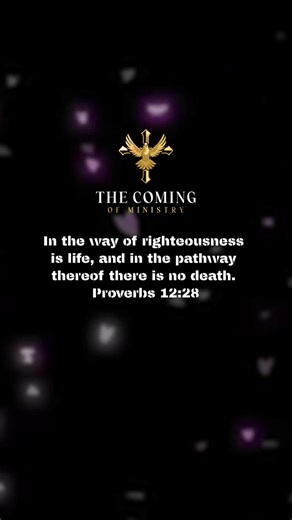 Proverbs 12:28 #thecomingofministry #pastormccardle #scripture #proverbs12v28