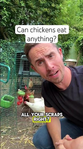 What foods are poisonous to chickens? #gardening #chickens