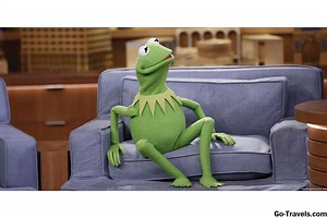 Die 10 besten Kermit the Frog Memes - TU MEHR 2025