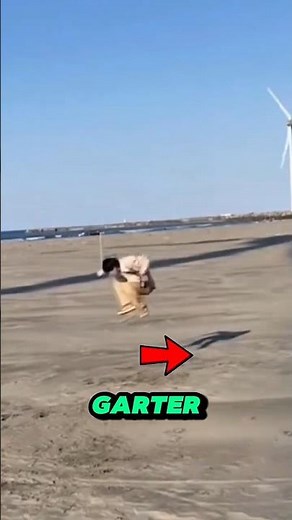 Could This Unexpected Fall Create a Viral YouTube Short? 🎬⚡