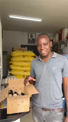 1.1K reactions · 29 shares | 100% Hatch Rate Success!   We're...