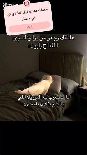 #الشهرة عائلتك رجعو من برا وناسيين المفتاح فلبيت انا مستغرب لية الغورلا اللي بالحلم يناديني بااسمي🤣🤣