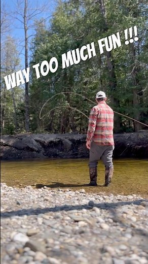 Fiberglass Fly Rods And Double Taper Lines!! #flyrods #speycasting #flyfishing