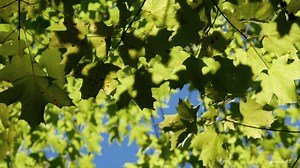 137K views · 2.9K reactions | Światło dnia - 푬풘풂 풊 푮풆풓풂풓풅 (oryg. Karel Gott & Darinka - Fang ) | Prezentacje muzyczne - Andrzej | Facebook