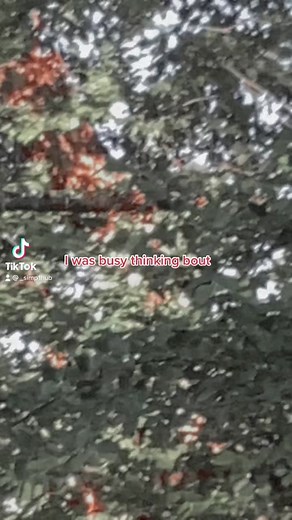 Here a girlfriend version #simphub #simp #hub #simphub❤️💍 #simps