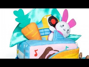 Ms Rachel Surprise Learning Box