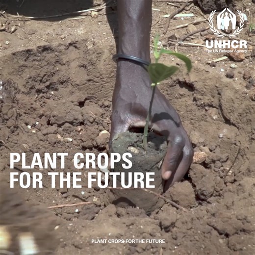 The climate crisis affects all of us, but not equally. Refugees and displaced people are living on the frontlines of extremes with nowhere to run. Make a difference with a donation to the UN Refugee Agency. | UNHCR Canada | Facebook