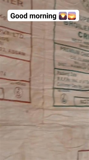 15 reactions · 7 comments | Broiler chick brooding management good condition. #rajuvillage #poultry #poultryfarm #broilerchickens | Raju Thakuri | Facebook