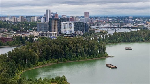 Harmful algal blooms impact Willamette River
