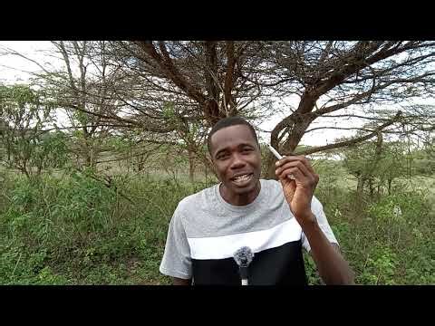 Money & Gold will Fail Soon, This Product will Save you.