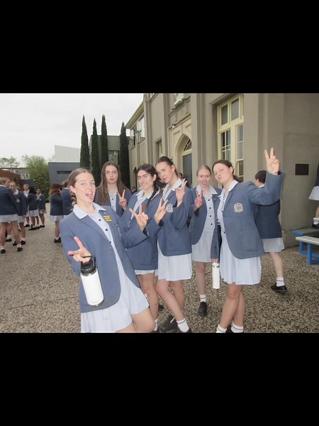 Exploring The Hives Camera in Australia