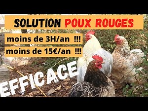 Un poulailler sans poux rouge en moins de 3 heures et pour moins de 15€/an