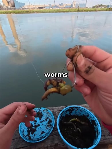 Essential Fishing Tips for Beginners