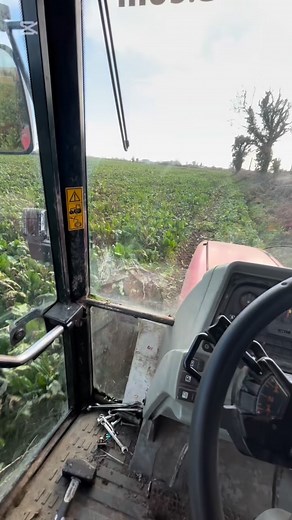 Beet harvest begins | Farmer phil