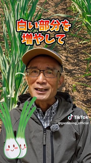 ネギ栽培の白い部分を長くするポイント