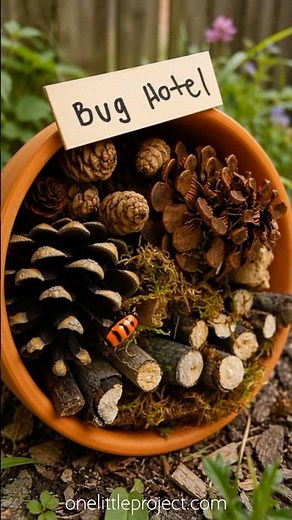 How to Make a Bug Hotel 🐛 🐞