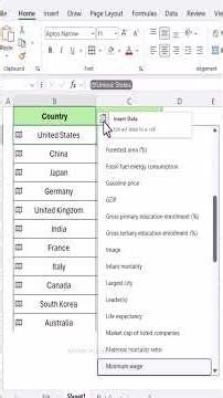 Add Flags in Excel in Seconds 🇺🇸🇮🇳 | Mind-Blowing Excel Trick! #Shorts