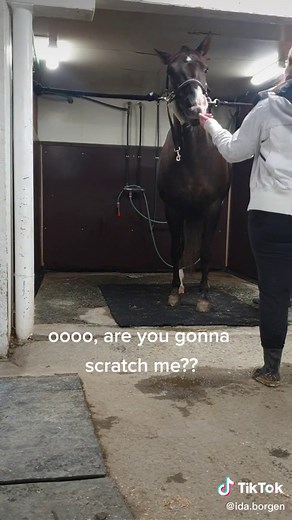 Ida.borgen on TikTok