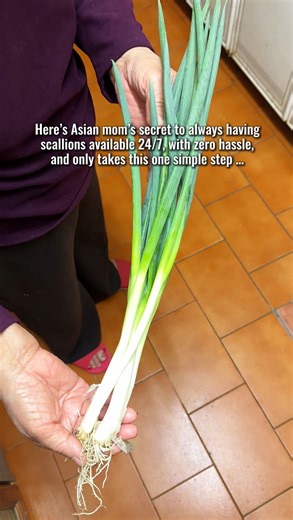 ✨The secret is … 👀 👀 👀 … freezing them! Comment “How” and I’ll send you the best step by step tutorial on how to freeze scallions! Make sure you are following me because DMs might not go through otherwise. Freezing scallions saves time, reduces waste, and keeps them fresh and ready whenever you need that pop of flavor. No more wilted scallions hiding in the fridge, just grab, sprinkle, and cook! #scallions #scallion #greenonions #greenonion #mealprepideas #frozenfood #foodhacks #cookingtips #