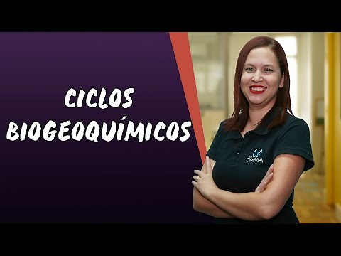 Biogeochemical Cycles - Brasil Escola